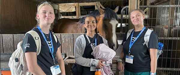 vet-program-card-horses-HS-NY-600x250-min