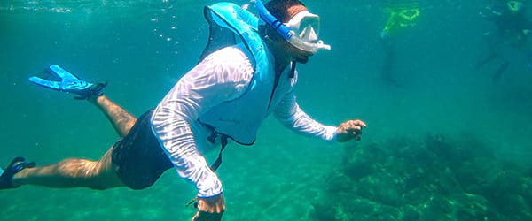 vet-program-card-marine-biology-600x250-min