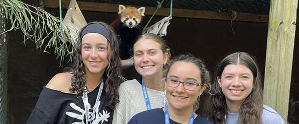 vet-program-card-zoo-HS-MA-600x250-min