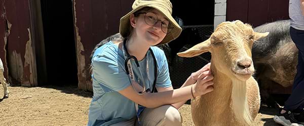 vet-program-card-zoo-MS-TX-600x250-min