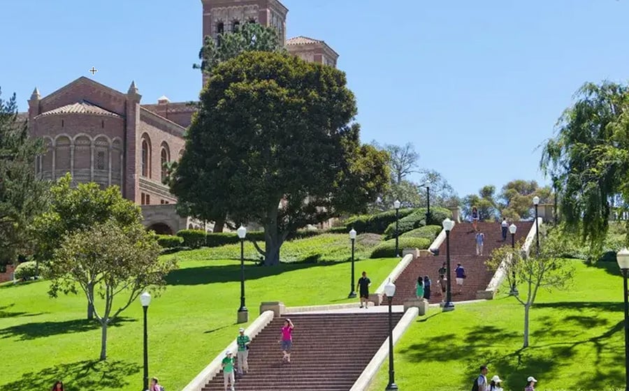 University of California Los Angeles